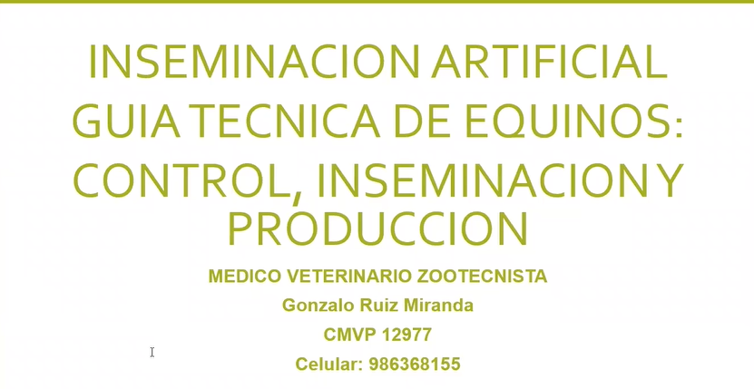 Equinos : control, inseminación, producción